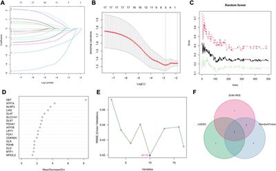 Machine learning-based characterization of cuprotosis-related biomarkers and immune infiltration in Parkinson’s disease